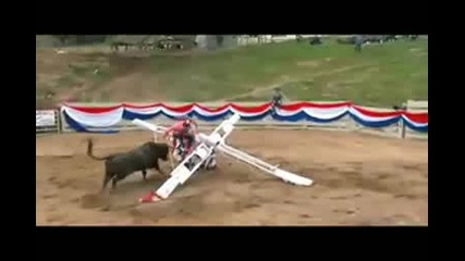 Jackass the movie 2