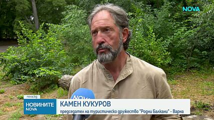 Доброволци твърдят, че пастрокът на Наталия е забелязан сам във варненско село
