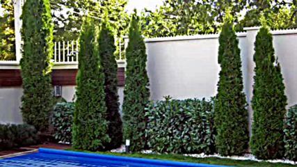 Колекция - Галерия озеленяване и поддържане на градини и двор