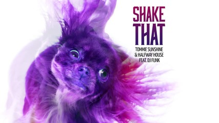 2о15! Tommie Sunshine & Halfway House feat. Dj Funk - Shake That ( Аудио )