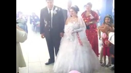 sevginar & Gulercan
