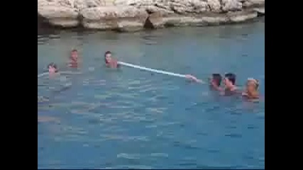 Делфин Пада Върху Трима Човека