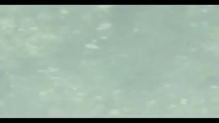 Преслава - Предай се на желанието ( оfficial Video ) + Текст