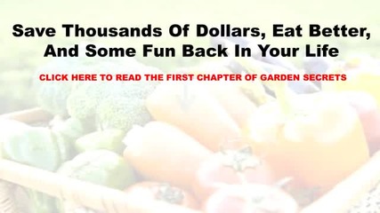 Organic Gardening For Beginners