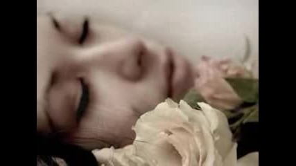 Lara Fabian - Youre Not From Here
