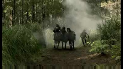 Legend of the Seeker S01e06elixir - 1