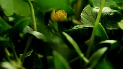 Майката Природа