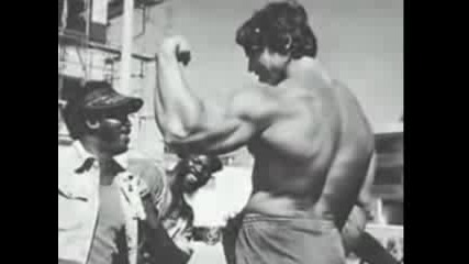 Arnold Schwarzenegger biceps 