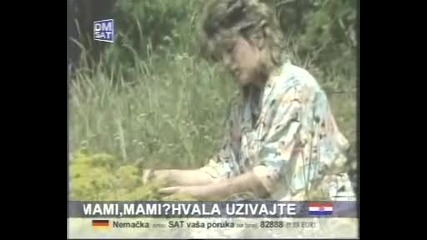 Biljana Jevtic - Evo ti srce na dlanu 