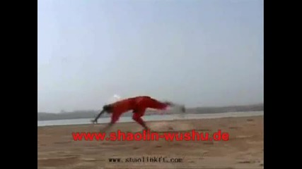 Real Shaolin Kung Fu Master