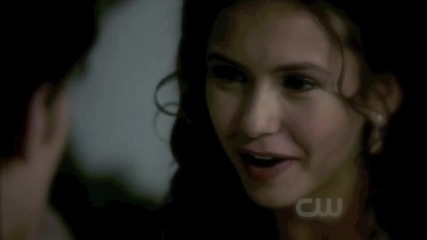 Stefan and Elena - Rose