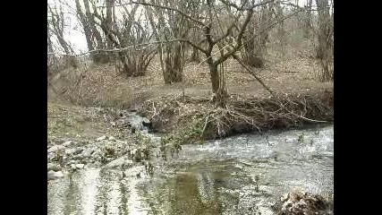 Picture 031