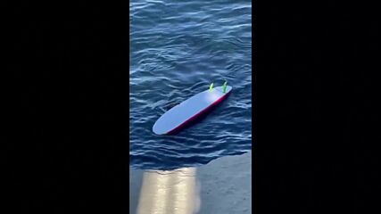 Морска видра „открадна” сърф