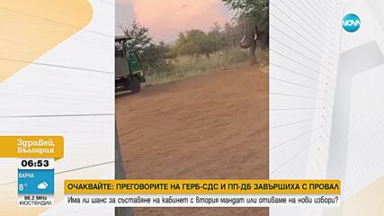 Слон атакува туристи в Южна Африка