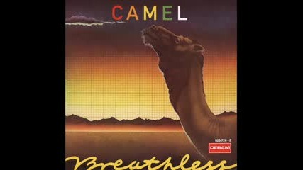 Camel - The Sleeper