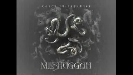 Meshuggah - Dehumanization 
