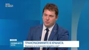 Изследване: Млечните продукти с повече трансмазнини от растителните им алтернативи