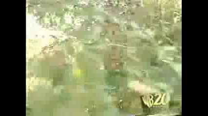 mad tv blair witch.flv