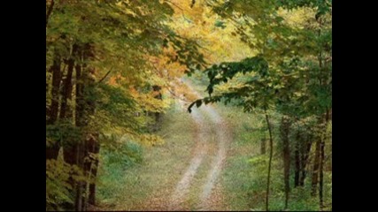 Gheorghe Zamfir - Angels Colours