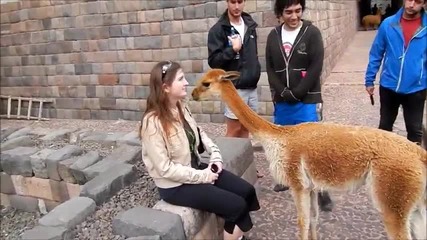 Мале как се изплю на лицето и хах
