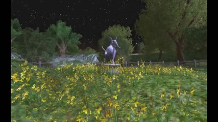 Lotro - Middle - Earth Lions 