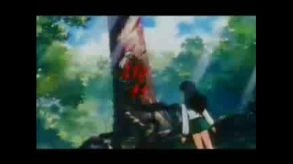 Amv - Inuyasha