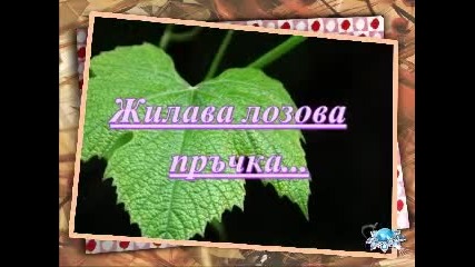 @ Годините @