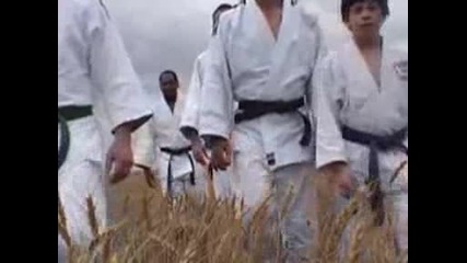judo film