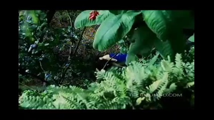 Flor Salvaje Avance Capitulo 104