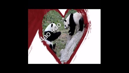 za moeto kak4e :* :* 