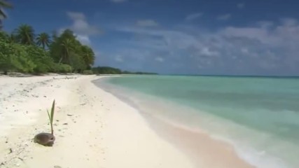 Острова на слънцето - Julio Iglesias