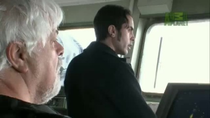 Whale Wars: Shaking a Spy Ship 