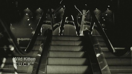 Wild Kitten- F.u.c.k.