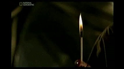 Мощта на Вселената - Гама лъчи (бг аудио 2009)