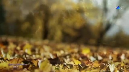Love Letter (beautiful romantic piano music)