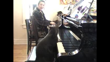Нора свири на пиано 