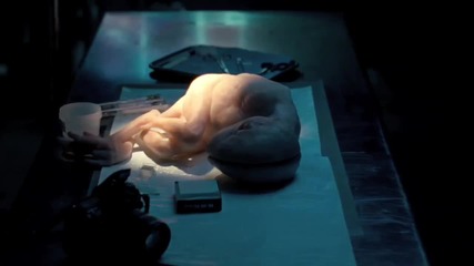 Splice Trailer 