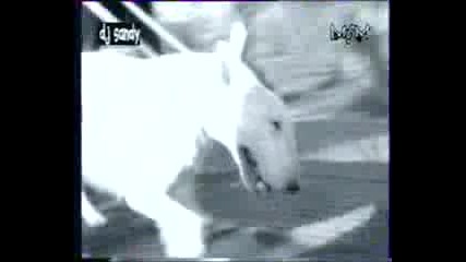 Eighth Wonder - Im Not Scared
