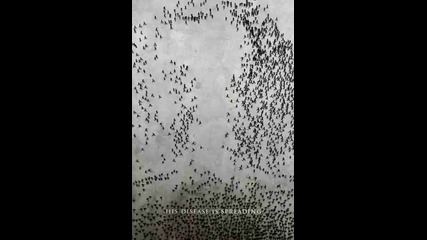Saw 6 - Intro