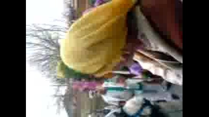 Mov01716.3gp