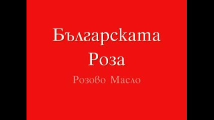 Какво Е Да Си Българин