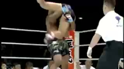 Quinton Rampage Jackson Ufc highlights 