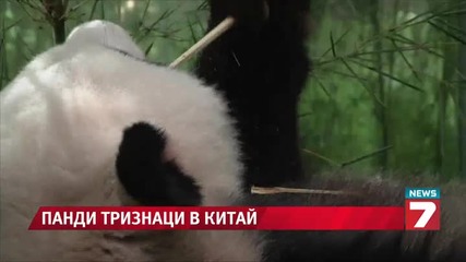 Океанът изхвърли умрял гърбат кит в Рио