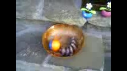 Malkoto Porche