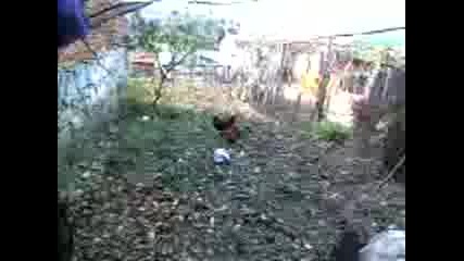 Бой С Петли - Част 3