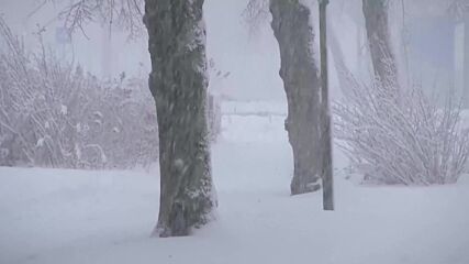 Снегът затрудни трафика в Нидерландия