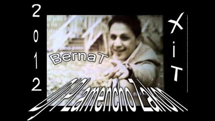 Bernat - But Pocmingan Lafija Te Irane 2o12 Dj Plamencho