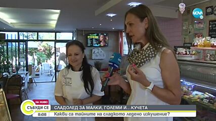 Ледено изкушение: Може ли сладоледът да е здравословен