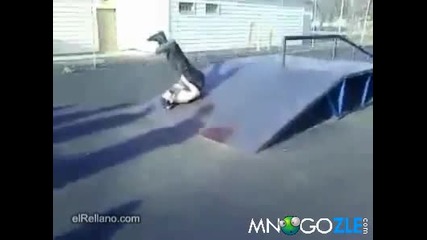 От два скейта на земята 