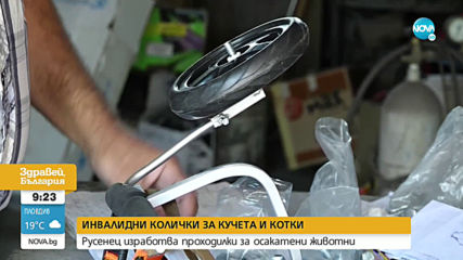 Русенец изработва инвалидни колички за кучета и котки
